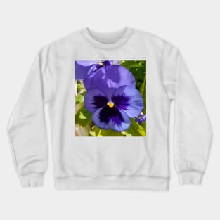 Blue Pansy Photo Crewneck Sweatshirt